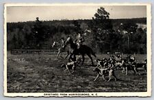 Horses & Hounds in Sandhills Fox Hunt Murfreesboro North Carolina c1940 Postcard picture