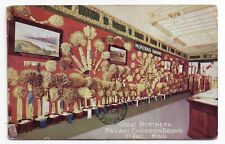 1910 Great Northern Railway Exhibit St. Paul Minnesota Montana Grains Postcard picture