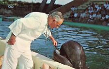 St Augustine Florida, Marineland Doctor Brushing Teeth of Whale Vintage Postcard picture