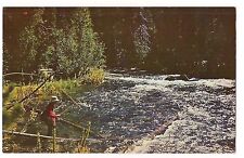 Lone Fisherman DEEP in the WOODS where the FISHING is GOOD. WISCONSIN Postcard picture