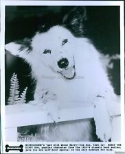 Vintage Nickelodeon'S Live-Action Special Harry The Dirty Dog Tv 8X10 Photo picture