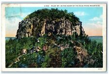c1920's Pilot Mt. In The Heart Of Blue Ridge Mountain North Carolina NC Postcard picture