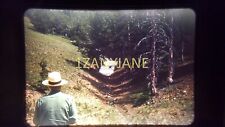 BH16 ORIGINAL KODACHROME 35MM SLIDE MAN IN HAT LOOKING DOWN RAVINE WOODED AREA picture
