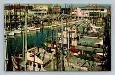 Postcard Fishing Fleet Large Commercial Fishing San Francisco California picture
