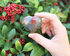Bloodstone Heart Stone: LARGE 1.75