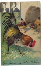 Embossed Chicken Chick Inset Photos Easter Postcard 1907 picture