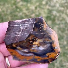 Grassy Mountain Petrified Wood Polished Specimen 82gm (Y20) picture