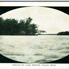 c1900s Tracy, Minn. Lake Shetek Oval Litho Photo Scene Antique Postcard MN A153 picture
