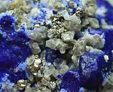 Rare Lazurite Crystal with Forsterite Crystal Cluster Phlogopite &Pyrite 46 gram picture