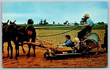Greetings Pennsylvania Dutch Country Tobacco Planter Farming Vintage Postcard picture