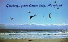 Postcard Greetings from Ocean City, Maryland Vintage picture