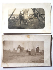 Vintage RPPC Real Photo Postcard Lot Hanging SLAUGHTERED HOG Horse Family Farm picture