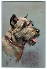c1930's Cute Schnauzer Dog Portrait Art Sketch Drawing Animals Vintage Postcard picture