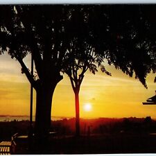 c1960s Singapore Sunset Mount Mt. Faber Sun-Set Chrome Photo Postcard Trees A227 picture