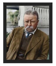 PRESIDENT THEODORE ROOSEVELT USA COLORIZED 8X10 FRAMED PHOTO picture