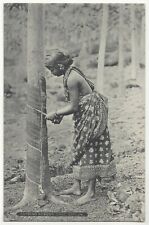 1908 Ethnic Ceylon Woman in Native Costume Tapping Rubber Tree, Old Postcard picture