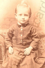 CDV Photo 1800's Chicago, Il. Antique Portrait Of Victorian Child Henry Iverson picture