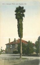 California Los Angeles Harvard Palm #1779 C-1910 Hand Colored Postcard 22-2837 picture