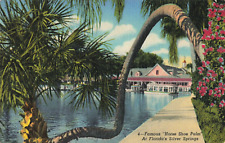 Silver Springs FL Florida, Famous Horse Shoe Palm Advertising, Vintage Postcard picture