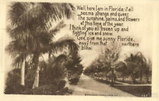 Florida Palm Trees,poem Emma Bischoff Johnson Antique Postcard Vintage Post Card picture
