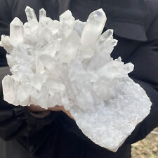 4.1LB Natural white Crystal Himalayan quartz cluster /mineralsls Specimen picture