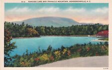 Postcard NC Hendersonville North Carolina Kanuga Lake and Pinnacle Mountain H32 picture
