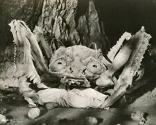 Antique Giant Crab Photo 2320b Oddleys Strange & Bizarre picture