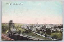 1909 Postcard  Bird's Eye View Sidney Ohio OH picture