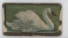 1910 ATC Bird Series T43 Mecca Factory 649 Trumpeter Swan 0u2r picture