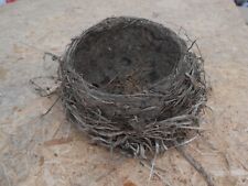 Genuine Michigan Robin Nest Abandoned Natural Authentic  picture