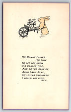 c1910s Mr. Bunny Poem Poetry Easter G.F.C. Rabbit Flowers Antique Postcard picture