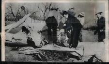 1953 Press Photo The body of William Cox after he committed suicide - ned58790 picture