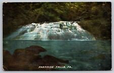 View of Paradise Falls Pennsylvania PA Waterfall c1910 Postcard picture