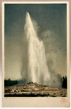 1902 Old Faithful, Yellowstone Park, Vintage Detroit Pub Postcard picture