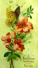 1880s Lovely Butterfly Bright Flowers Seasons Wildflowers 4 1/2