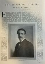 1908 Gifford Pinchot United States Forester illustrated picture