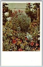 Isles of Shoals, New Hampshire NH - Celia Thaxter's Garden - Vintage Postcard picture