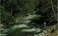 Man Fishing Pole River Wilderness Trinity County California Unused Postcard picture