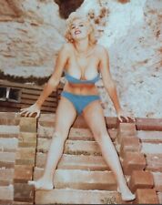 June Wilkinson 8x10 color glossy photo  picture