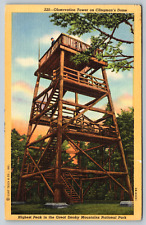 c1950s Observation Tower Clingman's Dome Great Smoky Mountains Vintage Postcard picture