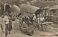 PC CPA SRI LANKA, CEYLON, BRANDING CATTLE, Vintage Postcard (b13641) picture
