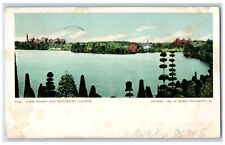 1906 Lake Waban Topiary Wellesley College Massachusetts MA Antique Postcard picture