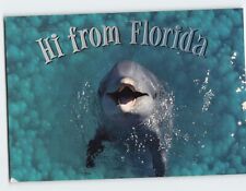 Postcard Dolphin Hi from Florida USA picture