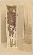 Egyptian Mummy From Thebes In Coffin Sign Macabre 1860s CDV Carte de Visite X852 picture