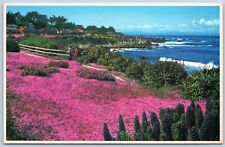 Postcard Pacific Grove CA Dazzling Magic Carpet Shoreline Monterey Co B17 picture
