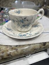 Myott Staffordshire Forget Me Not Cup & Saucer 409480 Wear #2 picture