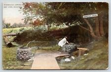 Bay View Michigan~Victorian Little Girl Gets Drink at Minnehaha Spring~c1908 picture