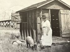 i7 Photograph Old Woman In Hat Shack Feeding Pig Partially Obstructed Foreground picture