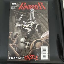 Punisher 13 picture
