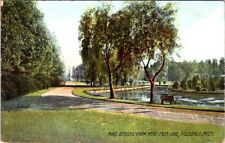Mrs. Stocks Park near East Lake, HILLSDALE, Michigan Postcard - Rotograph Co. picture